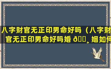 八字财官无正印男命好吗（八字财官无正印男命好吗婚 🕸 姻如何）